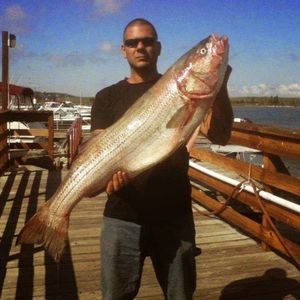 Meet your Posher, Peter